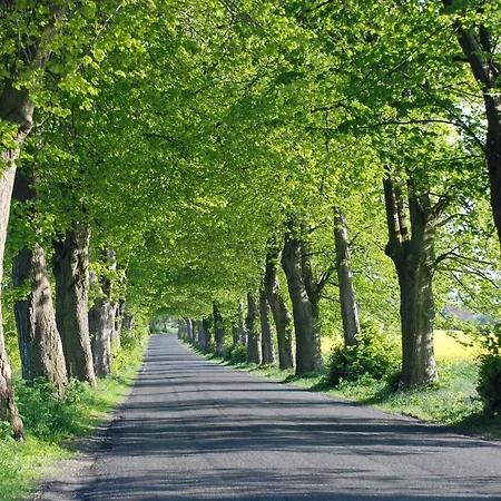 Schoene In Auf Dem Windland * Dranske